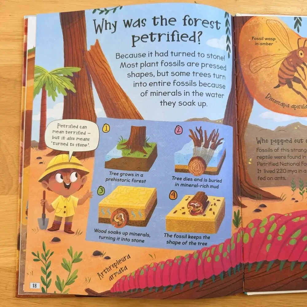 Curious Questions and Answers About Fossils by Phillip Steele Hardcover Book